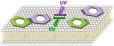 Dynamic Assembly Disassembly Processes Of Photoresponsive Dna Origami