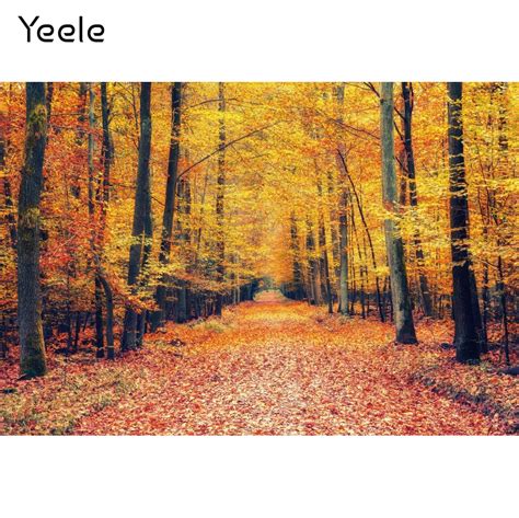 Yeele Autumn Forest Backdrop Natural Scenery Fallen Leaves Baby Wedding