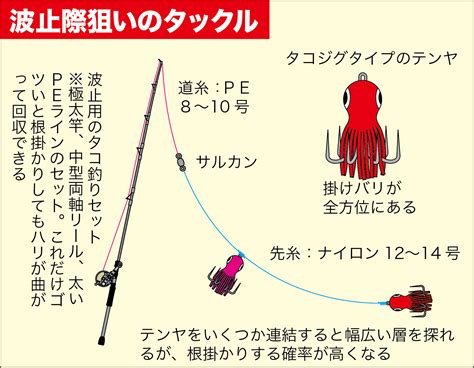 【実釣マニュアル】タコの釣り方 関西のつりweb 釣りの総合情報メディアmeme