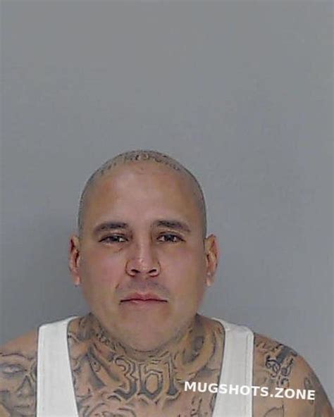 Rincon Gonzalo Nueces County Mugshots Zone