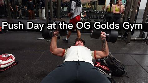 Training At The Original Golds Gym Bucked Up Give Away Is Live