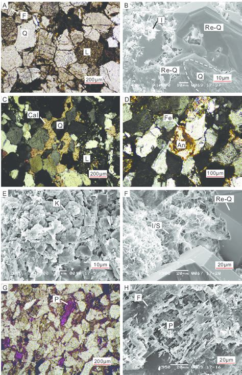 Photomicrographs Showing Diagenetic Features In The Yanchang Formation