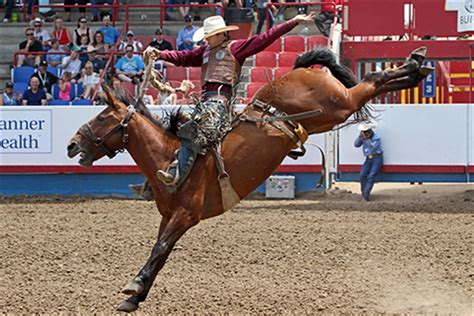 Greeley - Greeley Stampede (July) Discover Weld