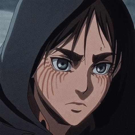 Eren Pfp Aesthetic