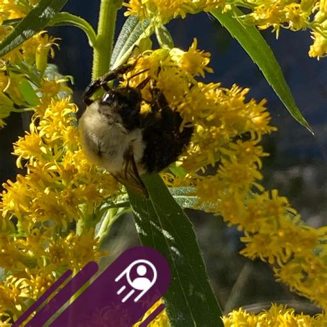 KDKA-TV - CLOSINGS AND DELAYS: More than 300 schools and organizations