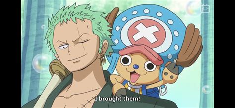 Chopper Birth On Twitter Rt Dailydinbo And Zoro Is With