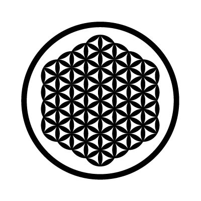 Flower Of Life Symbol History | Best Flower Site