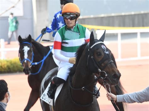 【メイクデビュー阪神5rレース後コメント】セレシオン川田将雅騎手ら 競馬ニュース Netkeiba