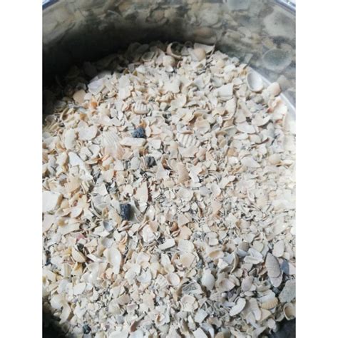 Grits Oyster Shell 500grms Shopee Philippines