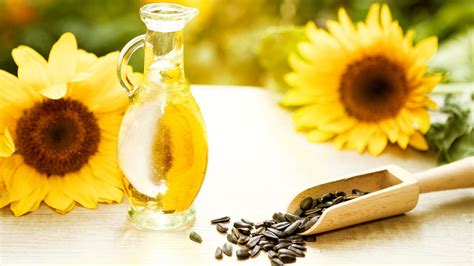 Health Benefits Of Sunflower Seeds 20 Magical Perks For Your Well