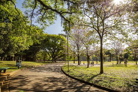 Parque Ibirapuera Reas Para A Pr Tica De Esportes Museus E Muito