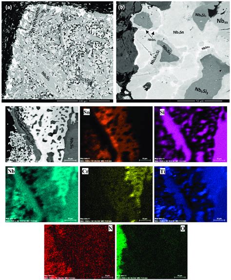 A B Bse Images Of Cross Section And X Ray Elemental Maps Of The Sn