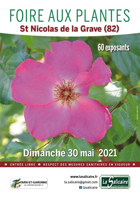 Foire aux plantes à Saint Nicolas de la Grave 82 PARLONS EN