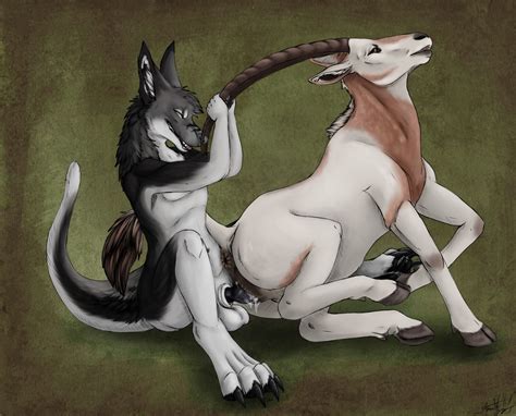 Rule 34 2014 2d Antelope Anthro Balls Claws Cum Dragon Duo Female Feral Fur Male Male On Feral