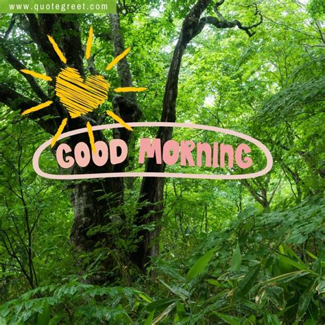 53 Beautiful Good Morning Forestjungle Images Wishes Greetings