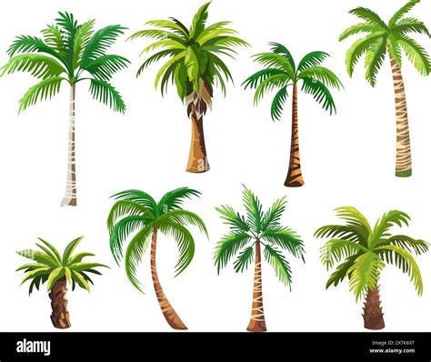 Cartoon Palm Trees Palmtrees Coconut Palms Coco Tree Leaves Hawaii