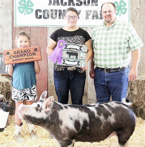 2019 Jackson County Fair Swine Show The Holton Recorder