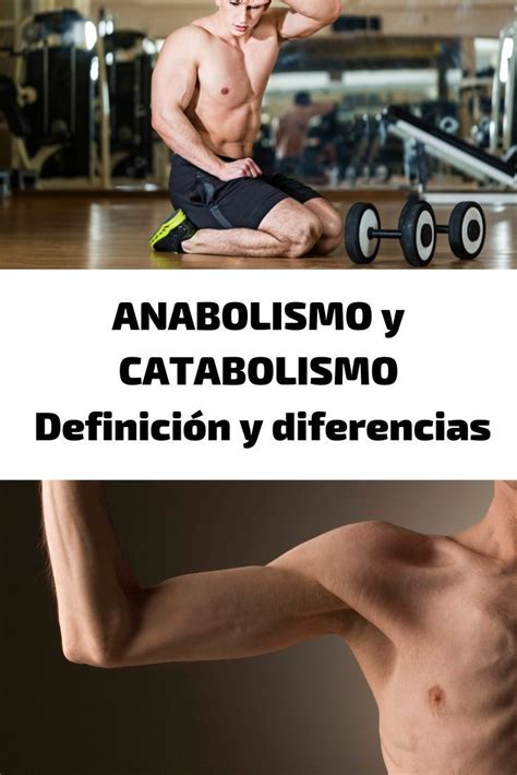 Saul Educacion Fisica Metabolismo Catabolismo Anabolismo Y Deporte