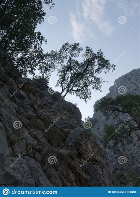 Antalya Goynuk Canyon Beautiful Mountain With Trees In National