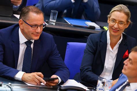 Deutschland Parteien Im Afd Dilemma Newsorfat