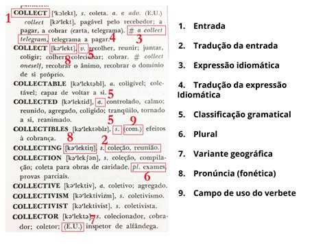 Plano de aula 6o ano Usando o dicionário bilíngue