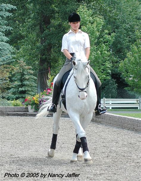 Usef Honors For Lyle Tosh Nancy Jaffer Equestrian Sports