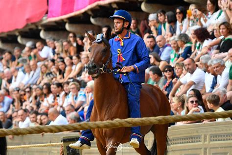 Palio Di Siena Del Luglio Il Nicchio Con Il Cavallo Scosso