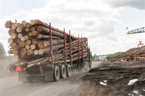 Logging Truck Logs At Mill Stock Image Image Of Large 32817811