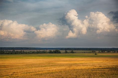 Page 16 | Ukrainian Fields Images - Free Download on Freepik
