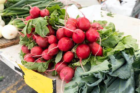 Manojos de rábanos en el mercado de un agricultor Foto Premium