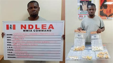 Pictorial Ndlea Arrests Brazil Returnee Others For Drugs Declares Ex