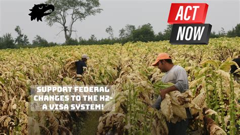 Support Federal Changes To The H2 A System Farm Labor Organizing