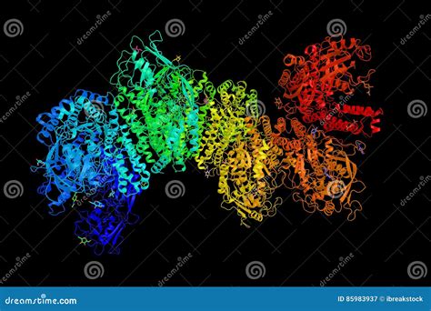 Transferrin Receptor A Carrier Protein For Transferrin Needed Stock