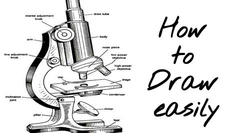 How To Draw Compound Microscope Science Apparatus Compound Microscope Youtube