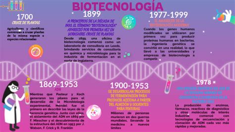 Linea Del Tiempo De Biotecnologia By Ana Crirstina Hernandez The Best