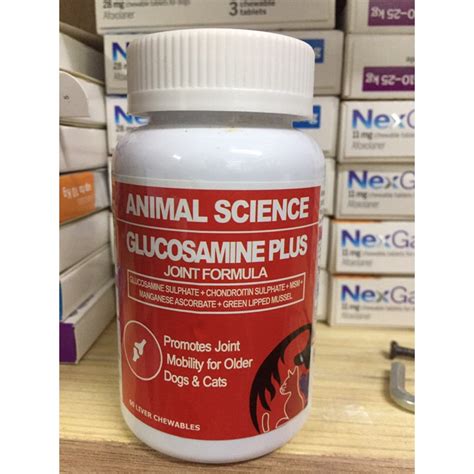 Animal Science Glucosamine Plus 60 Chewables Shopee Philippines