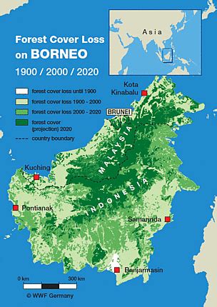 GEOG 5 Project - Borneo's Lowland Rainforests