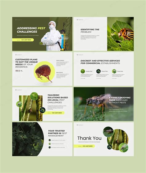 Pest Control Proposal Presentation By Slides Colony On Dribbble