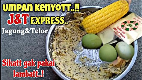 Umpan Kenyott J T Express Sikatt Gak Pakai Lambat Umpan Jagung