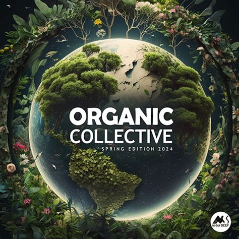 Organic Collective M Sol Deep Spring Edition 2024