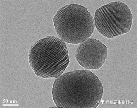 磺酸基修饰纳米Fe3O4 包覆二氧化硅颗粒 铕配合物二氧化硅荧光纳米粒子的应用 知乎