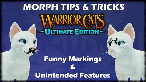 Warrior Cats Ultimate Edition Roblox Morph Ideas