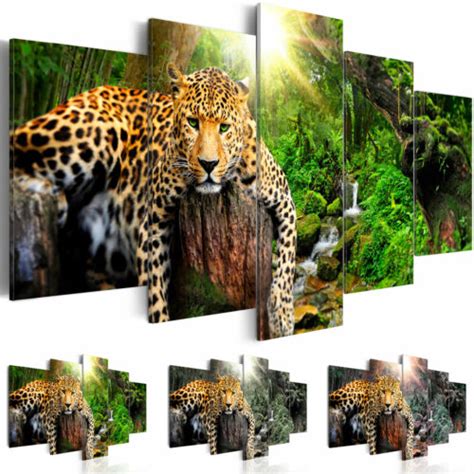 Wild Leopard Tier Afrika Wandbilder Xxl Bilder Vlies Leinwand G C