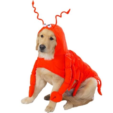 Halloween Dog Costume Ideas 32 Easy Cute Costumes For Your Canine