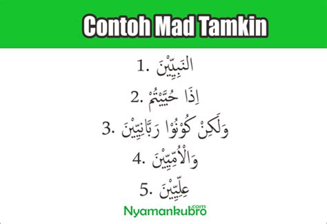 Contoh Mad Tamkin Dalam Al Quran – Gudang Materi Online