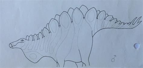 Stegosaurus (male) by ArtMakerProductions on DeviantArt