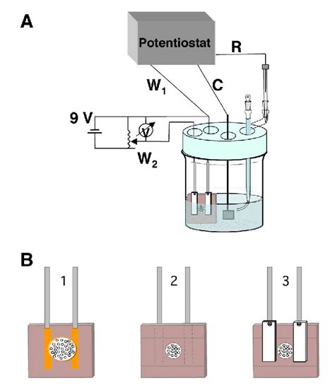 Experimental Setup For Gradient Electrodeposition A Schematic