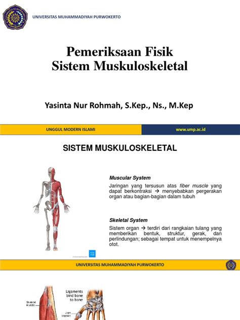 Pemeriksaan Sistem Muskuloskeletal Pdf