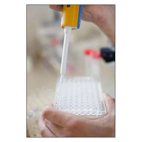 Immunogenicity Testing Services in Bengaluru | ID: 10558903291