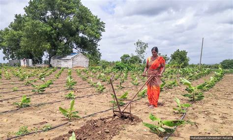 How Women Farmers Are Helping Transition To Natural Farming In Andhra